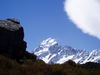 NZ00411.JPG